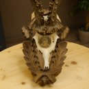 Rehgeweih Medaillenklasse Silber 400 g CIC 121,33 IP HL bis 27,1 cm hochkapitaler Bock Reh Geweih Gehörn Schild