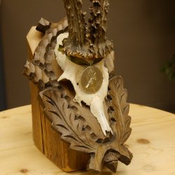 Rehgeweih Medaillenklasse Silber 400 g CIC 121,33 IP HL bis 27,1 cm hochkapitaler Bock Reh Geweih Gehörn Schild