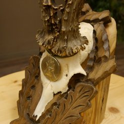 Rehgeweih Medaillenklasse Silber 400 g CIC 121,33 IP HL bis 27,1 cm hochkapitaler Bock Reh Geweih Gehörn Schild