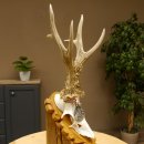 Rehgeweih Medaillenklasse Silber 430 g CIC 123,63 IP HL bis 25,6 cm hochkapitaler Bock Reh Geweih Gehörn Schild