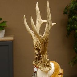 Rehgeweih Medaillenklasse Silber 430 g CIC 123,63 IP HL bis 25,6 cm hochkapitaler Bock Reh Geweih Gehörn Schild