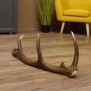 Rothirsch Stange 10 ender Gewicht 1,19 kg Länge 75 cm Hirsch Abwurfstange 71.1.187