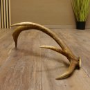 Rothirsch Stange 8 ender Gewicht 0,86 kg Länge 53 cm Hirsch 71.1.191