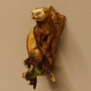 large polecat preparation height 12.99 inch prepared on...