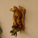 large polecat preparation height 12.99 inch prepared on branch taxidermy decoration #89.4.42