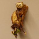 large polecat preparation height 12.99 inch prepared on branch taxidermy decoration #89.4.42