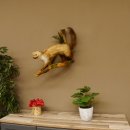 Steinmarder Marder auf Ast Präparat Deko Tierpräparat 89.5.228