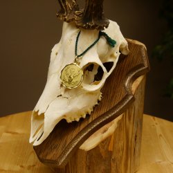 Rehgeweih aktuelles Gewicht 430 g Bock Reh Geweih Gehörn Trophäenschild 610.185