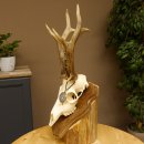 Rehgeweih aktuelles Gewicht 435 g Bock Reh Geweih...