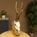 Rehgeweih aktuelles Gewicht 415 g Bock Reh Geweih Gehörn Trophäenschild 610.187