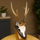 Rehgeweih Reh aktuelles Gewicht 310 g Gehörn Bock Rehgehörn Geweih Schild 609.86