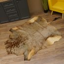 Streifengnu Gnu Fell Vorleger Blue Wildebeest Afrika afrikanisch Deko Länge 205 cm