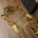 Streifengnu Gnu Fell Vorleger Blue Wildebeest Afrika afrikanisch Deko Länge 205 cm