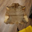 Streifengnu Gnu Fell Vorleger Blue Wildebeest Afrika afrikanisch Deko Länge 205 cm