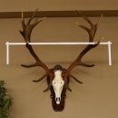 Rothirschgeweih ung. 18 ender Hirsch Höhe 112 cm Hirschgeweih Geweih Trophäenschild 70.1027