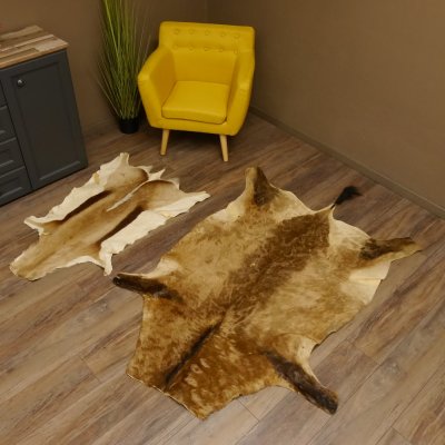 Antilopenfelle 2x Felle für Bastler Springbock + Kuhantilope 87.50.16