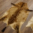 Antilopenfelle 2x Felle für Bastler Springbock + Kuhantilope 87.50.16