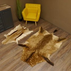 Antilopenfelle 2x Felle für Bastler Springbock + Kuhantilope 87.50.16