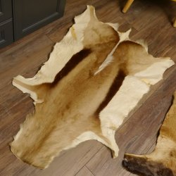 Antilopenfelle 2x Felle für Bastler Springbock + Kuhantilope 87.50.16