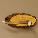 Klorollenhalter WC Rollenhalter Toilettenpapierhalter...