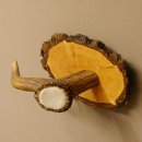 Klorollenhalter WC Rollenhalter Toilettenpapierhalter Hirschstange Hirsch Birkeschild