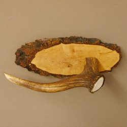 Klorollenhalter WC Rollenhalter Toilettenpapierhalter Hirschstange Hirsch Birkeschild