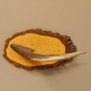 Klorollenhalter WC Rollenhalter Toilettenpapierhalter...