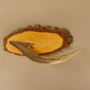 Klorollenhalter WC Rollenhalter Toilettenpapierhalter Hirschstange Hirsch Birkeschild 100.4.6