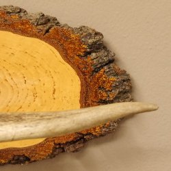 Klorollenhalter WC Rollenhalter Toilettenpapierhalter Hirschstange Hirsch Birkeschild 100.4.6