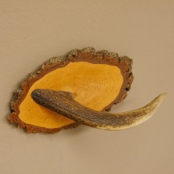 Klorollenhalter WC Rollenhalter Toilettenpapierhalter Hirschstange Hirsch Birkeschild 100.4.6