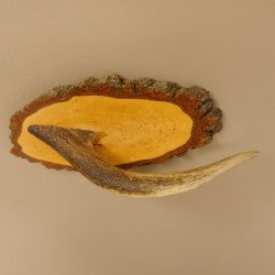 Klorollenhalter WC Rollenhalter Toilettenpapierhalter Hirschstange Hirsch Birkeschild 100.4.6