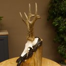 Rehgeweih Reh aktuelles Gewicht 325 g Gehörn Bock...