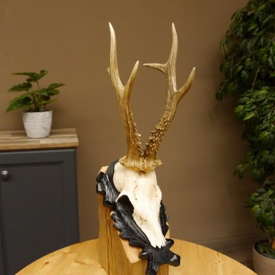 Rehgeweih Reh aktuelles Gewicht 335 g Gehörn Bock Rehgehörn Geweih Schild 609.89