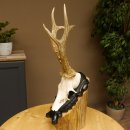 Rehgeweih Reh aktuelles Gewicht 335 g Gehörn Bock Rehgehörn Geweih Schild 609.89