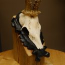 Rehgeweih Reh aktuelles Gewicht 335 g Gehörn Bock Rehgehörn Geweih Schild 609.89