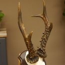 Rehgeweih Reh aktuelles Gewicht 340 g Gehörn Bock Rehgehörn Geweih Schild 609.90