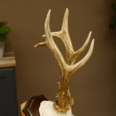 Rehgeweih Reh aktuelles Gewicht 360 g Gehörn Bock Rehgehörn Geweih Schild 609.93