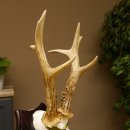 Rehgeweih Medaillenklasse Bronze 370 g CIC 105,83 IP HL bis 25,1 cm kapitaler Bock Reh Geweih Gehörn Schild