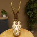 Rehgeweih Medaillenklasse Bronze 460 g CIC 107,75 IP HL bis 26 cm kapitaler Bock Reh Geweih Gehörn Schild