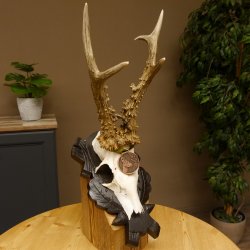 Rehgeweih Medaillenklasse Bronze 365 g CIC 107,98 IP HL bis 25,7 cm kapitaler Bock Reh Geweih Gehörn Schild