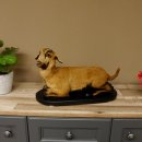 Ziege junge Zicklein Ziegenkitz liegend Präparat Höhe 28 cm Trophäe Ganzpräparat 84.13.7