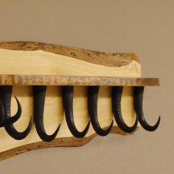 Garderobe mit 6 Gamshaken + Gamsgeweih auf Holzbrett Ablagefläche Wandgarderobe Geweih Unikat 27.8.123