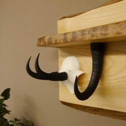 Garderobe mit 6 Gamshaken + Gamsgeweih auf Holzbrett Ablagefläche Wandgarderobe Geweih Unikat 27.8.123