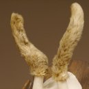 Rehbock im Bast Reh Bock Geweih Rehgeweih auf geschnitztem Trophäenschild 603.244