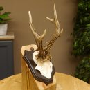 Ciervo macho Cuernos de ciervo Ciervo macho Cuernos en placa de trofeo 604.173