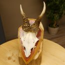 Rehgeweih abnormes Reh Geweih Gehörn Rehbock Trophäe auf Trophäenschild 606.144