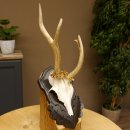 Rehgeweih abnormes Reh Geweih Gehörn Rehbock Trophäe auf geschnitztem Trophäenschild 606.145