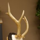 Rehgeweih abnormes Reh Geweih Gehörn Rehbock Trophäe auf geschnitztem Trophäenschild 606.145