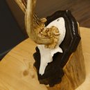 Rehgeweih abnormes Reh Geweih Gehörn Rehbock Trophäe auf geschnitztem Trophäenschild 606.145