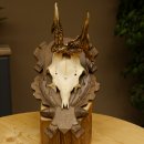 Rehgeweih abnormes Reh Geweih Gehörn Rehbock Trophäe auf geschnitztem Trophäenschild 606.146